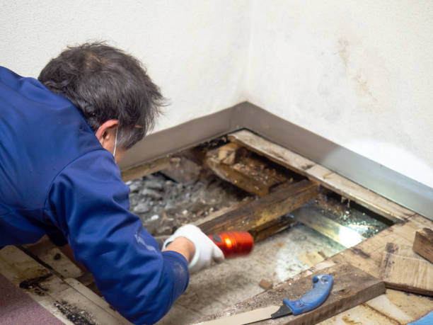 Best Mold Testing  in Kannapolis, NC