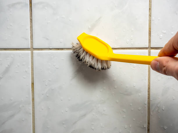 Best Affordable Mold Removal  in Kannapolis, NC