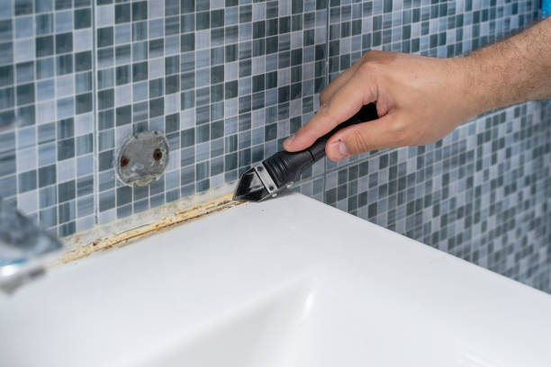 Best Toxic Mold Removal  in Kannapolis, NC