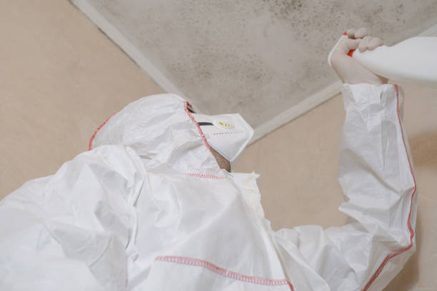 Best Commercial Mold Removal  in Kannapolis, NC